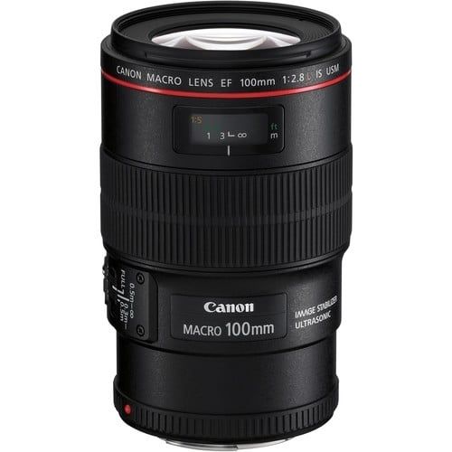 Buy Canon EF 100mm f2.8L Macro IS USM Lens Online in India at