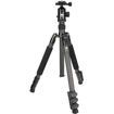 buy Sirui ET-2204 Carbon Fiber Tripod with E-20 Ball Head in India imastudent.com
