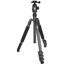 buy Sirui ET-2204 Carbon Fiber Tripod with E-20 Ball Head in India imastudent.com