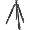 buy Sirui EN-2004 Aluminum Tripod in India imastudent.com