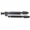 buy Sirui EN-2004 Aluminum Tripod in India imastudent.com