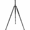 buy Sirui N-2004X Aluminum Tripod in India imastudent.com