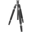 buy Sirui N-2204X Carbon Fiber Tripod in India imastudent.com