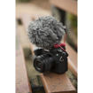 buy Rode VideoMicro Compact On-Camera Microphone in India imastudent.com