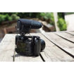 buy Rode VideoMic Pro with Rycote Lyre Shockmount Microphone in India imastudent.com