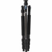buy Sirui W-2204 Waterproof Carbon Fiber Tripod in India imastudent.com