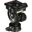 buy Sirui L-20S 2-Way Pan/Tilt Head in India imastudent.com
