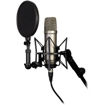 buy Rode SM6 Shock Mount with Detachable Pop Filter Microphone in India imastudent.com