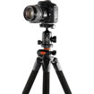 buy Vanguard Alta Pro 263AB 100 Aluminum-Alloy Tripod Kit with SBH-100 Ball Head in India imastudent.com