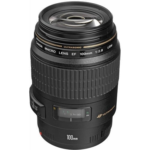 canon ef 100 f2 8