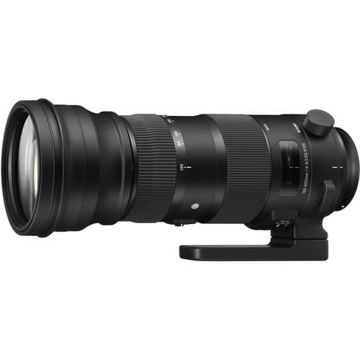 buy Sigma 150-600mm f/5-6.3 DG OS HSM Sports Lens for Nikon F in India imastudent.com