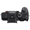 buy Sony Alpha a7R III Mirrorless Digital Camera (Body Only) in India imastudent.com