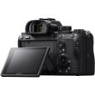 buy Sony Alpha a7R III Mirrorless Digital Camera (Body Only) in India imastudent.com