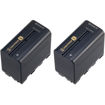 buy Sony NP-F970 L-series Info-Lithium Battery 2 Pack in India imastudent.com