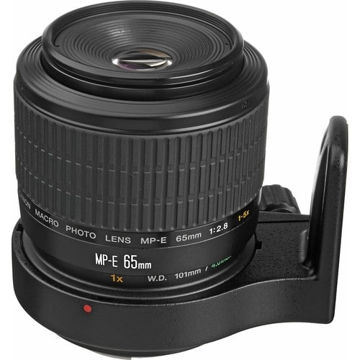 buy Canon MP-E 65mm f/2.8 1-5x Macro Photo Lens in India imastudent.com