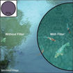 buy Nikon 62mm Circular Polarizer II Filter in India imastudent.com