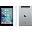 buy Apple 128GB iPad mini 4 (Wi-Fi + 4G LTE, Space Gray) in India imastudent.com