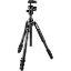 buy Manfrotto Befree Advanced Travel Aluminum Tripod with 494 Ball Head (Lever Locks, Black) in India imastudent.com