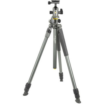 Vanguard Alta Pro 2 263AB100 Aluminum-Alloy Tripod with BH-100 Ball Head Kit price in india features reviews specs