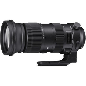 buy Sigma 60-600mm f/4.5-6.3 DG OS HSM Sports Lens for Nikon F in India imastudent.com