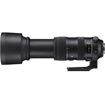 buy Sigma 60-600mm f/4.5-6.3 DG OS HSM Sports Lens for Nikon F in India imastudent.com