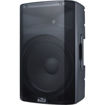 buy Alto Professional TX215 15" 2-Way 600W Powered Loudspeaker in India imastudent.com