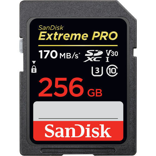 Buy 256 GB Memory Cards Online at Best Price in India