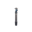 buy Sirui AM-254 Carbon Fiber Travel Tripod with A-10R Ball Head imastudent.com
