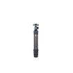 buy Sirui AM-284 Carbon Fiber Travel Tripod with A-10R Ball Head in India imastudent.com