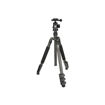 buy Sirui ET-1204 Carbon Fiber Tripod with E-10 Ball Head in India imastudent.com