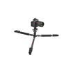 buy Sirui ET-1204 Carbon Fiber Tripod with E-10 Ball Head in India imastudent.com