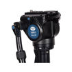 buy Sirui P-204S 4-Section Aluminium Photo/Video Monopod with VH-10 Head in India imastudent.com