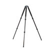 buy Sirui R-4213X Carbon Fiber Tripod in India imastudent.com