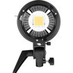 Godox SL-60 LED Video Light (Daylight-Balanced) price in india features reviews specs