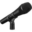 buy Sennheiser XSW-D VOCAL SET Digital Wireless Plug-On Microphone System with Handheld Mic (2.4 GHz) in India imastudent.com