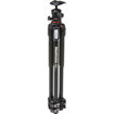 buy Manfrotto MK190XPRO3-BHQ2 Aluminum Tripod with XPRO Ball Head and 200PL QR Plate in India imastudent.com