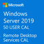 MICROSOFT WINDOWS SERVER 2019 REMOTE DESKTOP SERVICES