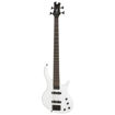 Epiphone Tobias Toby Standard IV Electric Bass in india features reviews specs