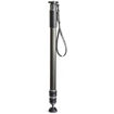 buy Gitzo Series 4 Carbon Fiber Monopod - GM4532 in India imastudent.com