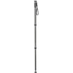 buy Gitzo Series 4 Carbon Fiber Monopod - GM4532 in India imastudent.com