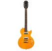 Epiphone Slash AFD Les Paul Special-II Electric Guitar Outfit in india features reviews specs
