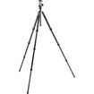 buy Gitzo Series 2 Traveler Carbon Fiber Tripod with Center Ball Head - GT2545T in India imastudent.com