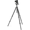 buy Gitzo Mountaineer Series 3 Carbon Fiber Tripod with 3-Way Fluid Head Kit - GT3532 in India imastudent.com