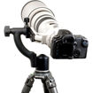 buy Wimberley Arca Sidekick Ball to Gimbal Head Adapter in india imastudent.com