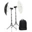  Godox AD-300Pro Kit A2 Outdoor Flash price in india features reviews specs