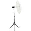  Godox AD-300Pro Kit A2 Outdoor Flash price in india features reviews specs