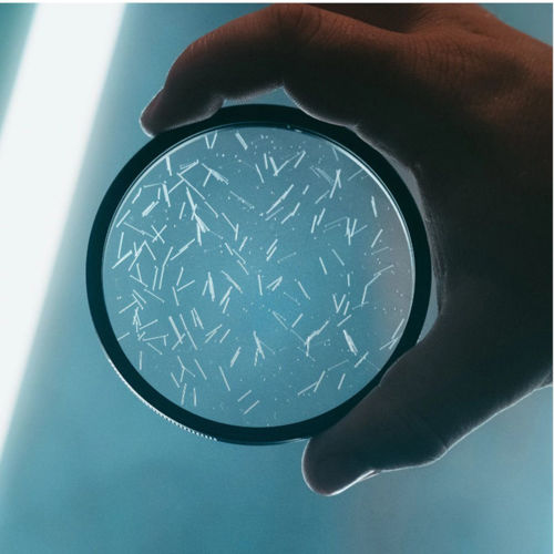 Buy Prism Lens Fx Radiant FX Filter 77mm Online in India at