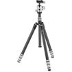 Gitzo Legende Series 1 Carbon Fiber Travel Tripod with Ball Head in India imastudent.com