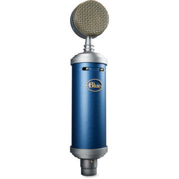  Blue Bluebird SL Cardioid Condenser Microphone in India imastudent.com
