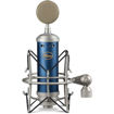  Blue Bluebird SL Cardioid Condenser Microphone in India imastudent.com